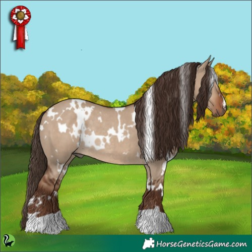 Horse Color:White Spotted Liver Red Dun Rabicano 