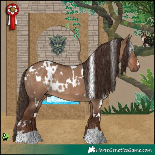 Horse Color:White Spotted Liver Red Dun Rabicano 