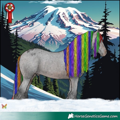 Horse Color:Painted Brown Ice Appaloosa Rabicano 