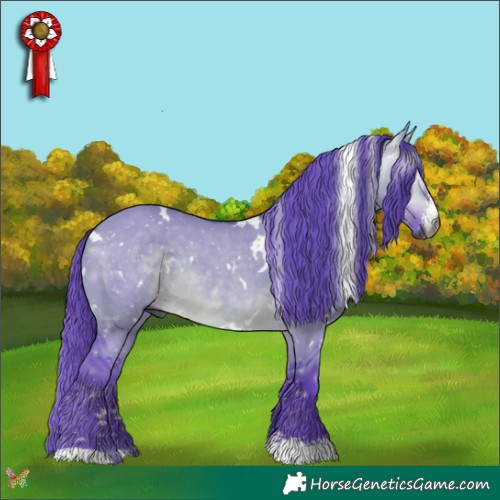 Horse Color:Gray Watercolor White Spotted Brown Dun Sabino Rabicano 