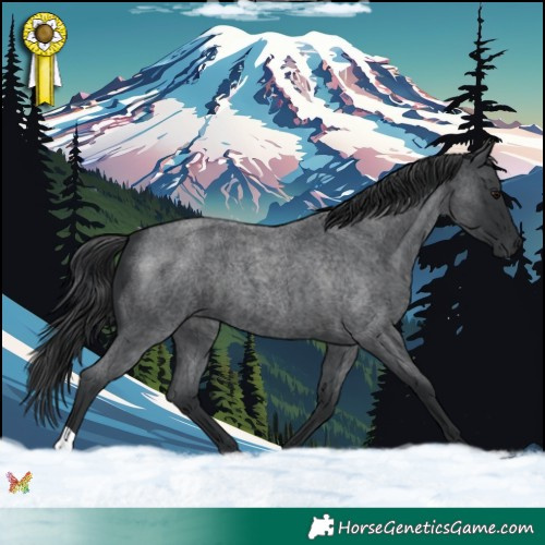 Horse Color:Blue Roan 