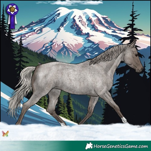 Horse Color:Silver Blue Roan 