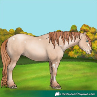 Horse Color:White Spotted Sable Champagne Pearl 