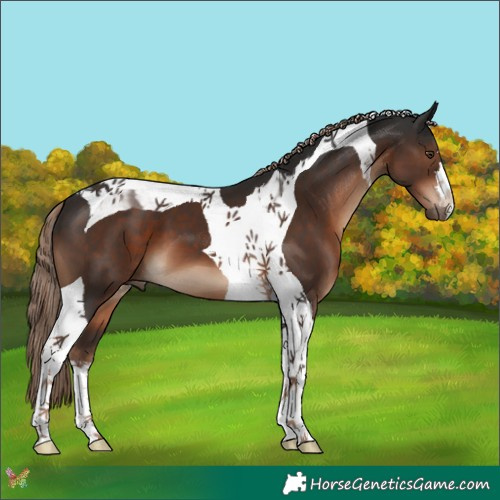Horse Color:Liver Chestnut Tobiano 
