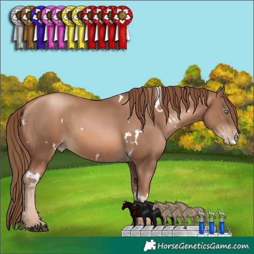 Horse Color:White Spotted Liver Chestnut Pearl 