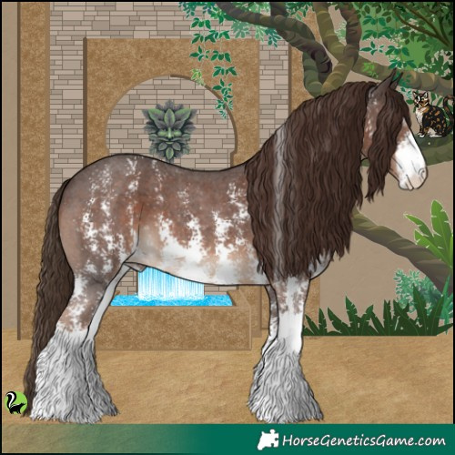 Horse Color:Liver Chestnut Sabino 