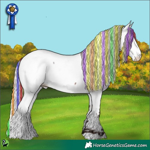 Horse Color:Painted Silver Brown Ice Roan Appaloosa Rabicano 