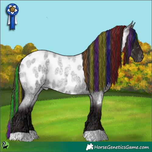 Horse Color:Painted Liver Red Ice Roan Appaloosa Rabicano 