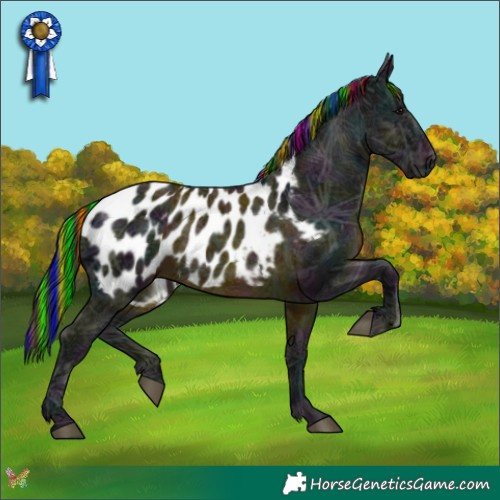 Horse Color:Painted White Spotted Midnight Black Ice Appaloosa Rabicano 