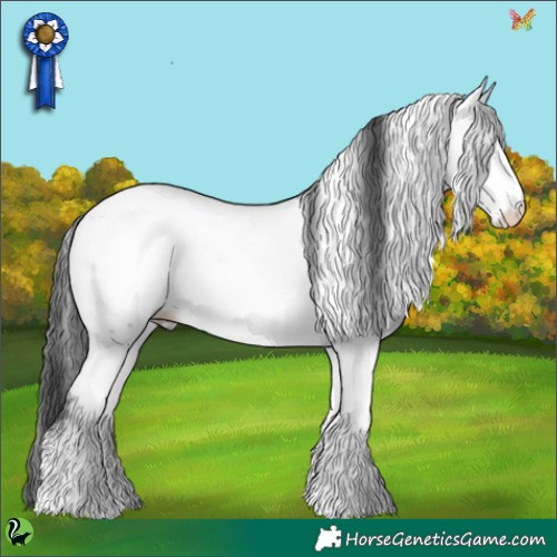 Horse Color:White Spotted Black Ice Appaloosa 