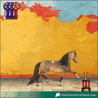 Horse Color:Buckskin Tobiano 