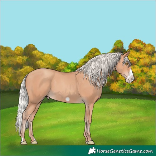 Horse Color:Silver Amber Champagne Frame 