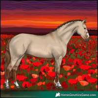 Horse Color:Red Dun 