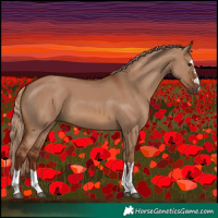 Horse Color:Red Dun 