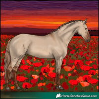 Horse Color:Red Dun