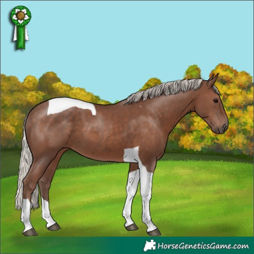 Horse Color:Silver Black Tobiano 