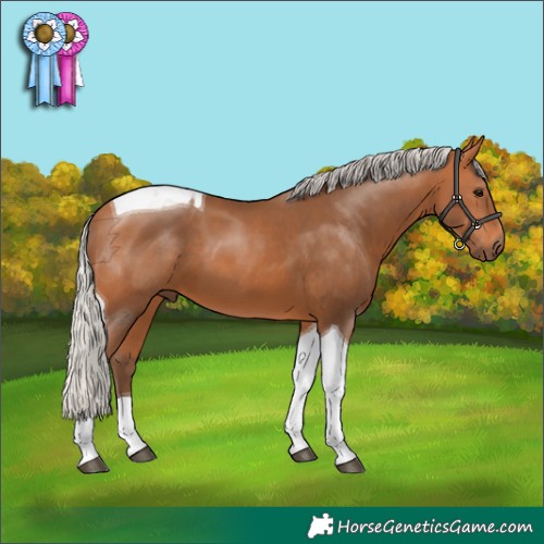 Horse Color:Silver Bay Tobiano 