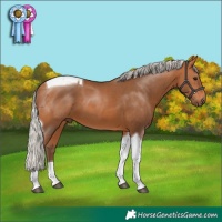 Horse Color:Silver Bay Tobiano