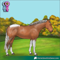 Horse Color:Silver Bay Tobiano 