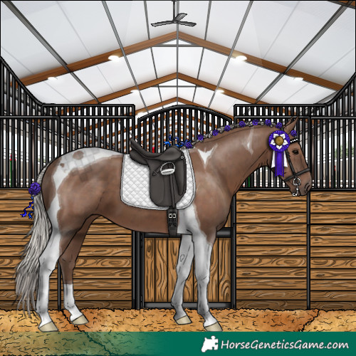 Horse Color:Silver Black Tobiano