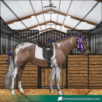 Horse Color:Silver Black Tobiano 