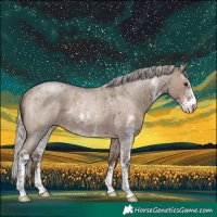 Horse Color:Silver Brown Roan Dun Sabino Rabicano