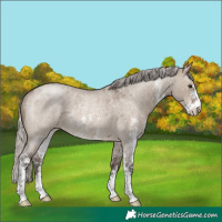 Horse Color:Silver Brown Roan Dun Sabino Rabicano 