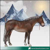 Horse Color:Silver Brown Rabicano
