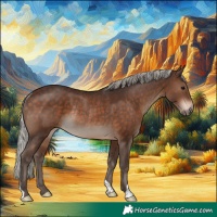 Horse Color:Silver Brown Rabicano 