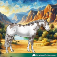 Horse Color:White Spotted Silver Black Frame Rabicano 