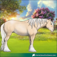 Horse Color:Silver Buckskin Pearl 
