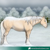 Horse Color:Silver Buckskin Pearl 