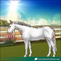 Horse Color:Silver Brown Dun Sabino Frame Rabicano
