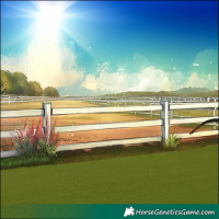 Horse Color:Silver Black Sabino Frame Rabicano