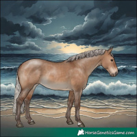 Horse Color:Silver Brown Dun Rabicano 
