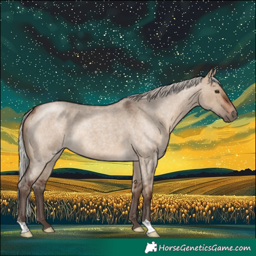 Horse Color:Silver Brown Roan Dun Rabicano 