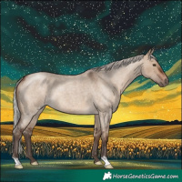 Horse Color:Silver Brown Roan Dun Rabicano