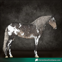 Horse Color:White Spotted Silver Smoky Black 