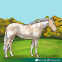 Horse Color:White Spotted Silver Smoky Black Pearl 