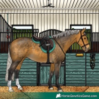 Horse Color:Silver Buckskin 