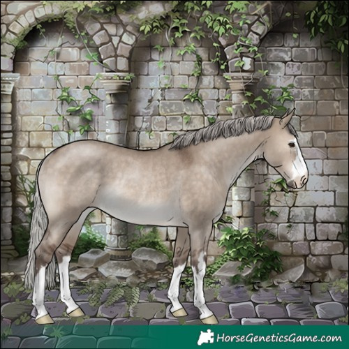 Horse Color:Silver Brown Dun Rabicano 