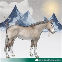 Horse Color:Silver Brown Dun Rabicano 
