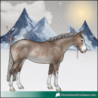 Horse Color:Silver Brown Dun Rabicano 