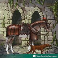 Horse Color:Silver Brown Rabicano 