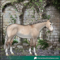 Horse Color:Silver Brown Dun Rabicano 