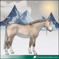 Horse Color:Silver Brown Dun Rabicano 