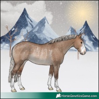Horse Color:Silver Brown Dun Rabicano 