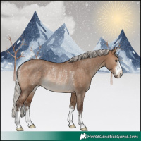 Horse Color:Silver Brown Dun Rabicano
