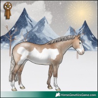 Horse Color:Silver Brown Dun Frame Rabicano