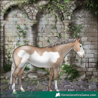 Horse Color:Silver Brown Dun Frame Rabicano